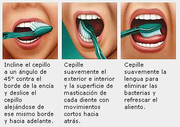 como cepillarse