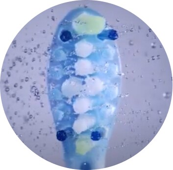 Cepillo sónico para limpieza dental profunda Cepillo sónico para limpieza dental profunda